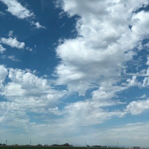 Meet your Posher, Daniela